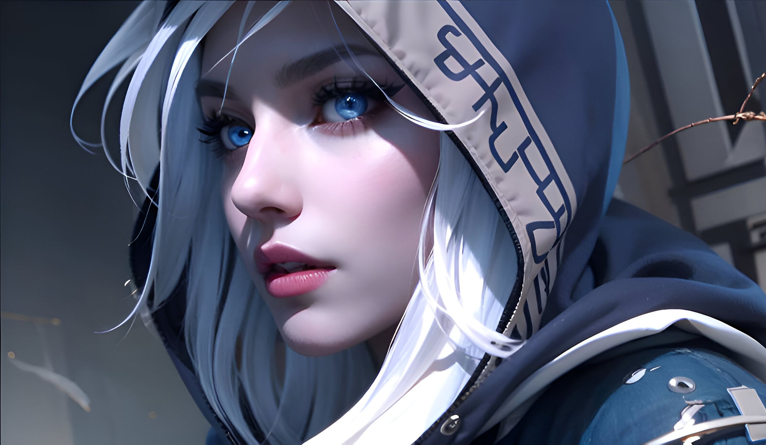 在进入联盟 在进入联盟